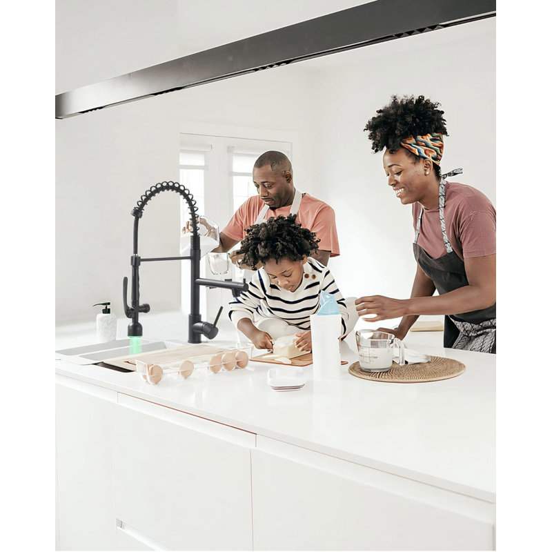 Robinet de cuisine rétractable AvaMalis, Noir frotté à l'huile