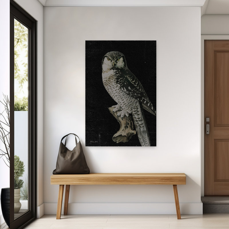 Moody Owl, H 60 po x l 40 po