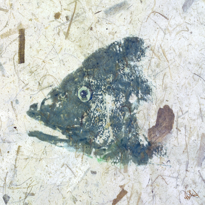 «Snapper Blue» par John Beard, reproduction sur toile sans cadre, Toile tendue, H 32 po x l 32 po x P 3 po