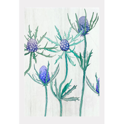 Purple Thistle Print by Jessica Hollander