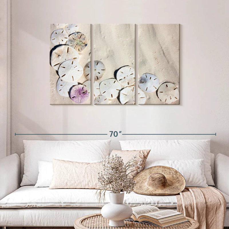 Brampt Beach Sand Dollars, 28" H x 45" W