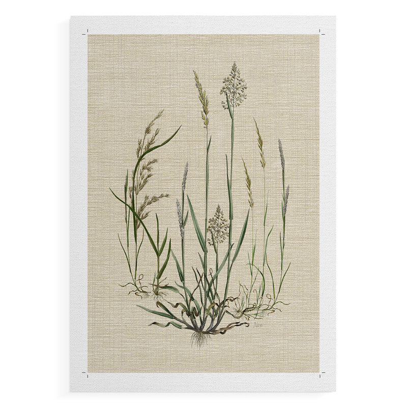 Lin Herbes I - Impression sur toile seulement - NON-CADRE, H 27 po x l 18 po