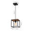 Luminaire suspendu cage industriel 1 lumière