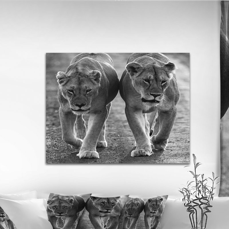 Photographie "lions en noir et blanc" à l’animal, H 8 po x l 12 po x P 1 po, Toile tendue