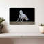 Brampt étalon blanc au galop-107693125