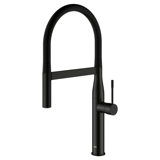 Essence New Single Handle Kitchen Faucet with SilkMove® and with Accessories