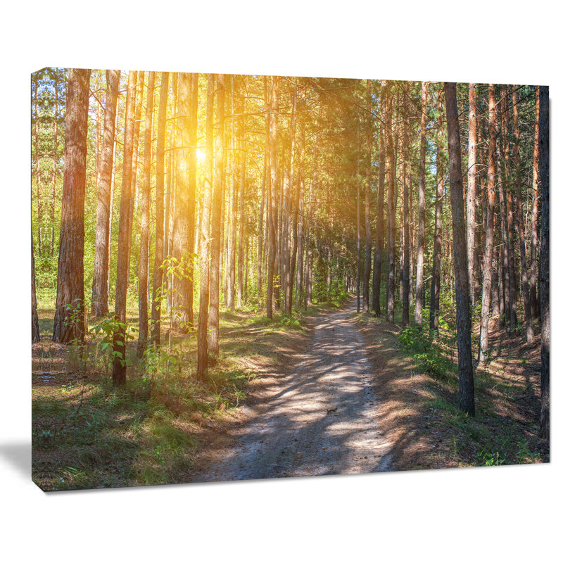 « lourd forest avec rayons jaunes soleil », reproduction de photo sur toile tendue, H 30 po x l 40 po x P 1 po