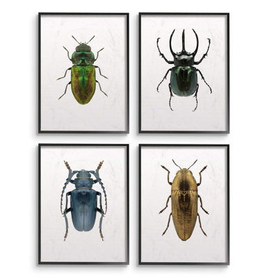 «Colorful Insect» par Design Fabrikken, ensemble de 4 reproductions d'impressions