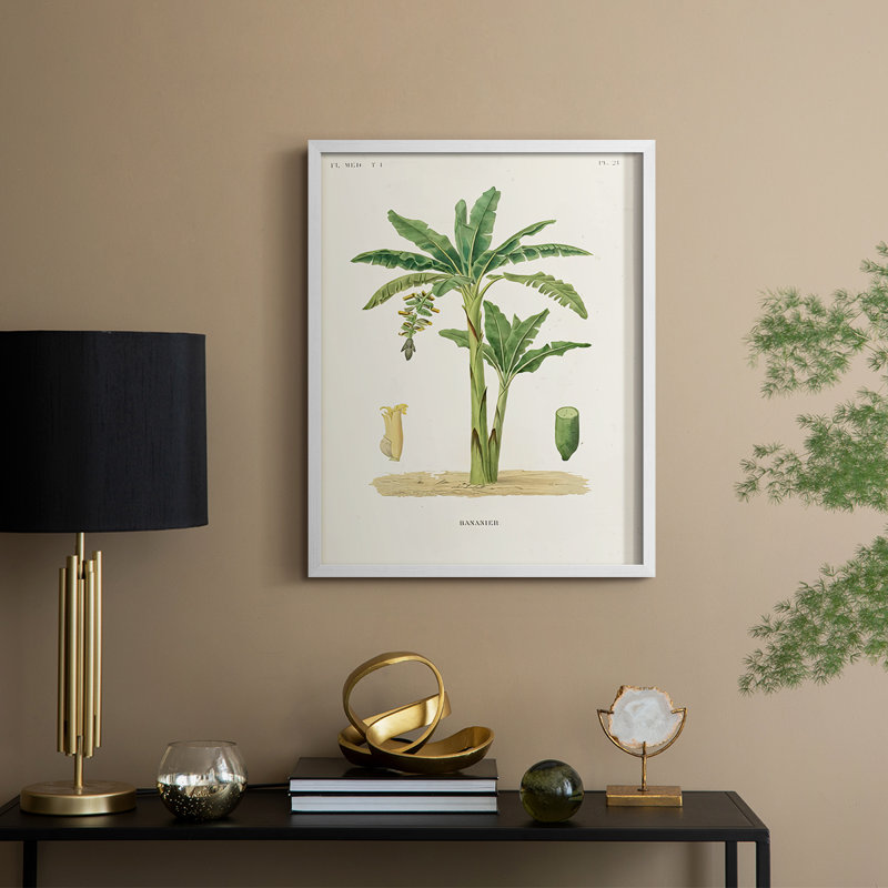 Arbre antique avec fruit III, reproduction encadrée - bois massif, H 11 po x l 9 po, Blanc