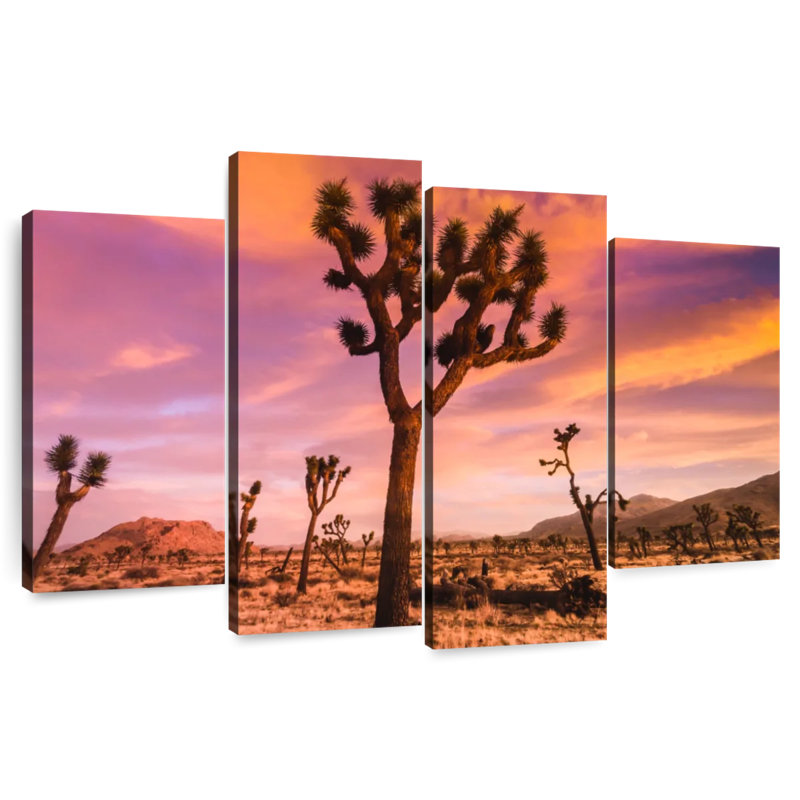 Harnek Patch Of Joshua Trees