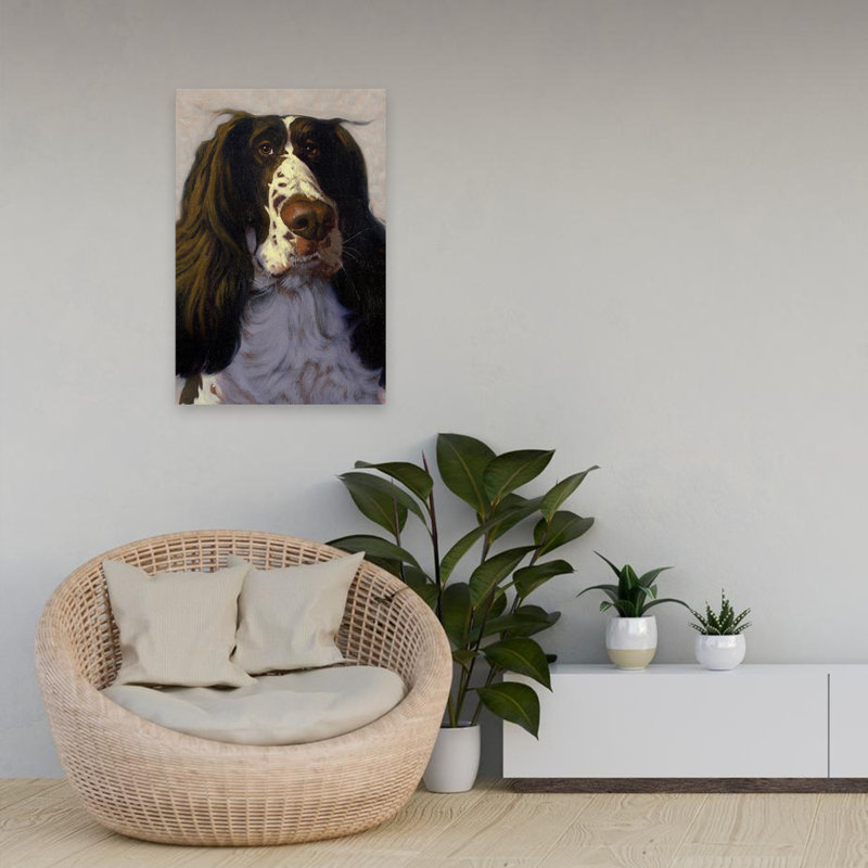 Springer - animaux, humour, chiens, humour, art, H 24 po x l 16 po