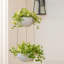 Ensemble de pots à fleurs suspendus Aroara