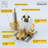 All-In-One Kit with Rough in-Valve-89831728