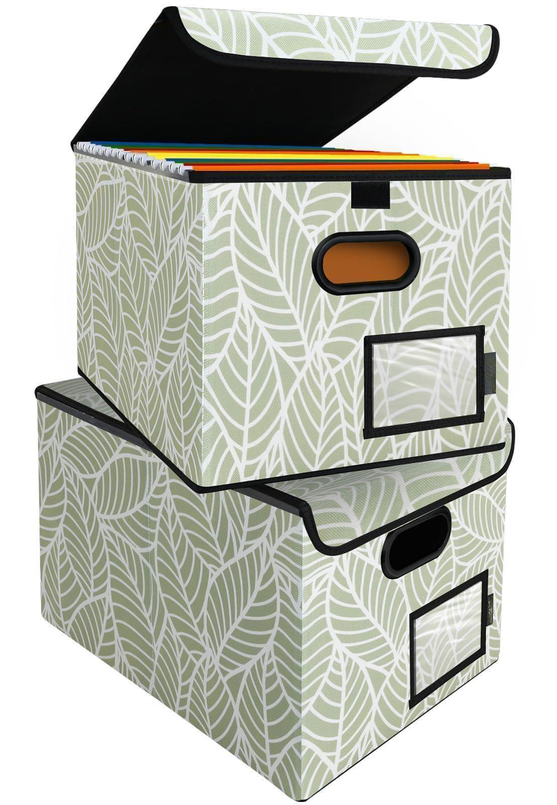 Colapsable File Folder APPENIN WINTER PARK CORP File Organizer Box With Lid, Collapsible File ...