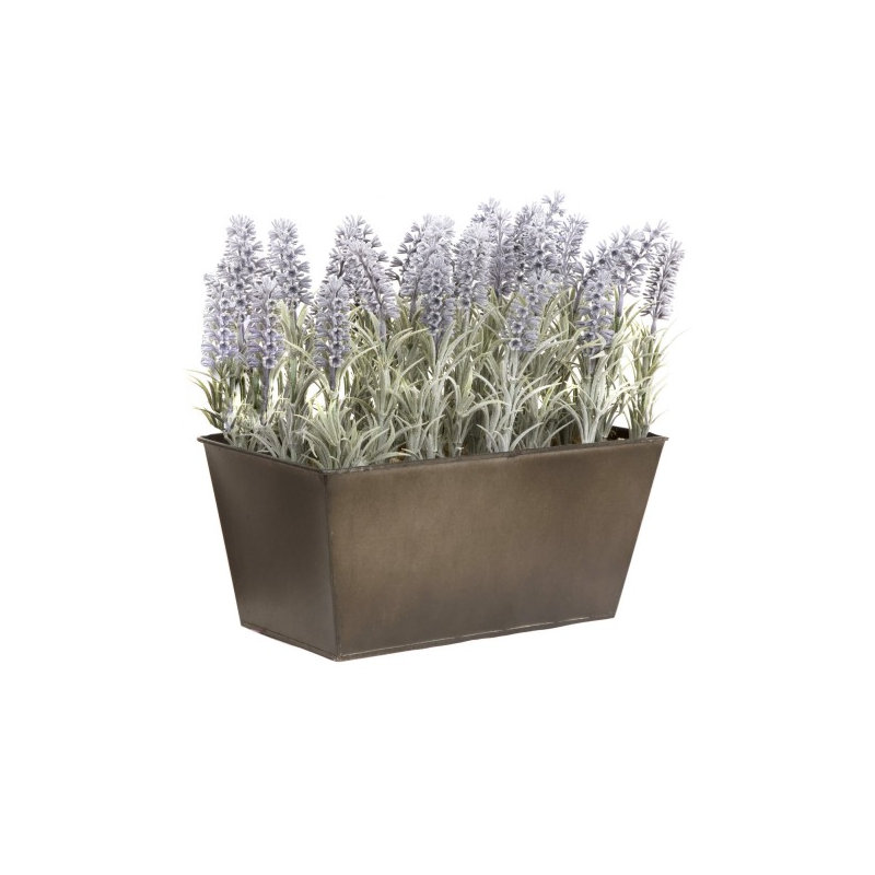 Lavender in Rustic Tin Planter (Window Box), Rustic Brown, 32.2cm H x 31.5cm W x 16.5cm D