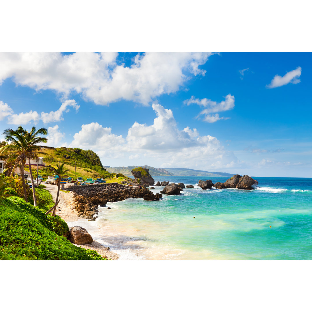 Bathsheba, Barbados - Leinwandbild