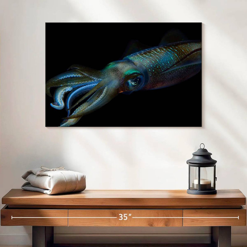 Bigfin Reef Squid, H 16 po x l 24 po