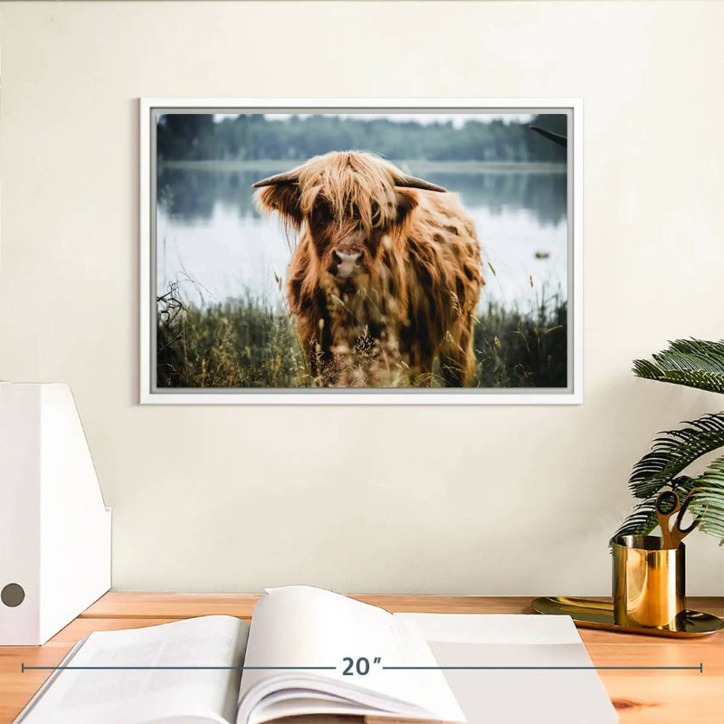 Vache Lakeside Highland, Cadre flottant blanc, 13 po x 9 po