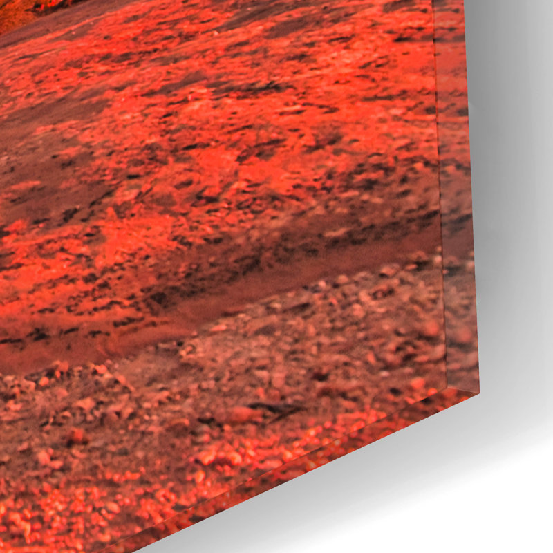 «Arches National Park Sunset» par Mark A Paulda, H 12 po x l 16 po x P 0,13 po