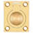 PVD Polished Brass