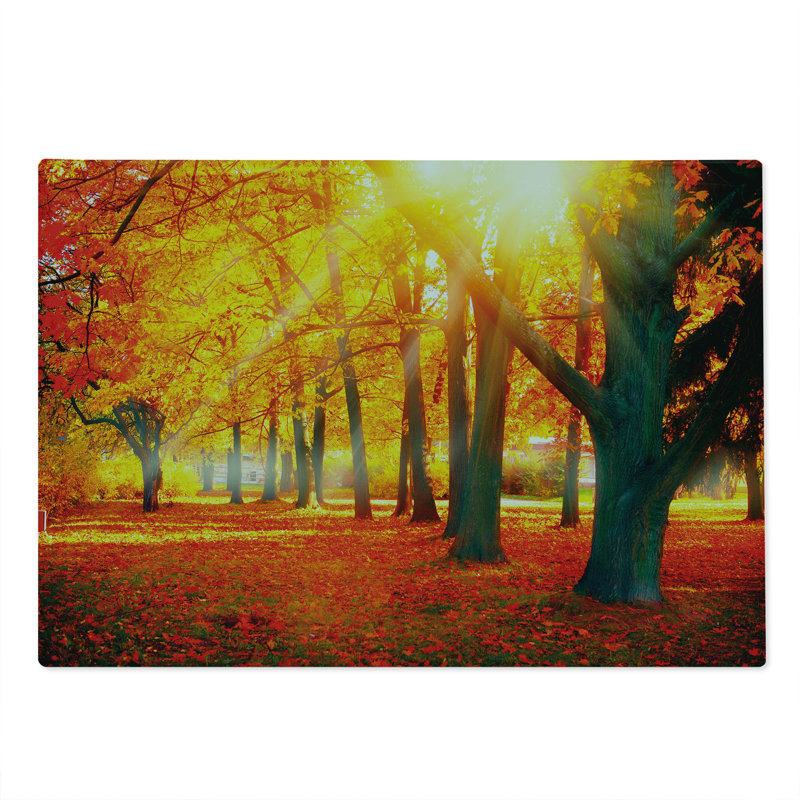 Multicolore Ambesonne