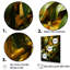 Bamboo Sunset photographie IV - impression sur toile de bambou_106583-95900506-95900507