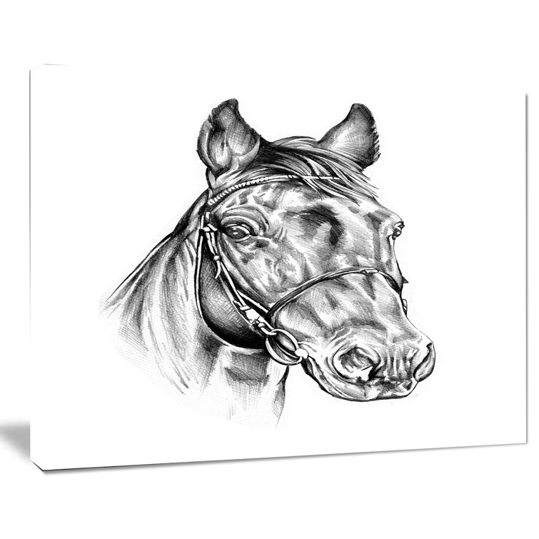 Horse face line drawing - Stock Illustration [76702146] - PIXTA