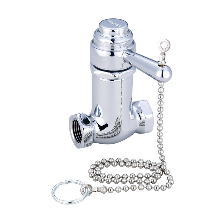Manual Flush Valve
