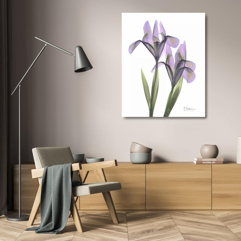 Art sur toile tendue par Winston Porter Koetsier, Albert, iris mauve