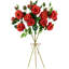 Jets de roses-86731925