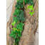 Fausse plante botanique suspendue 64 pouces