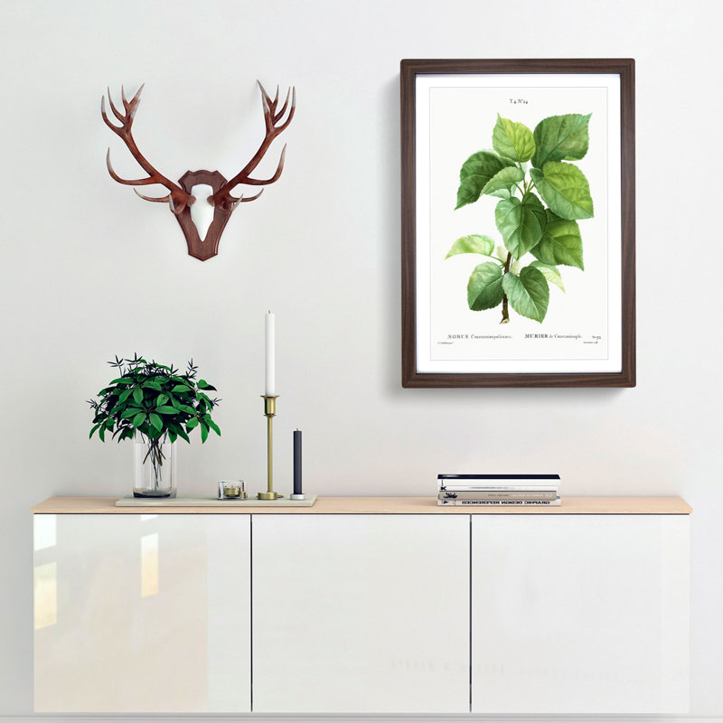 White Mulberry Tree Branch by Pierre-Joseph Redoute - Picture Frame Art Prints, 48cm H x 36cm W x 2cm D, Walnut Framed