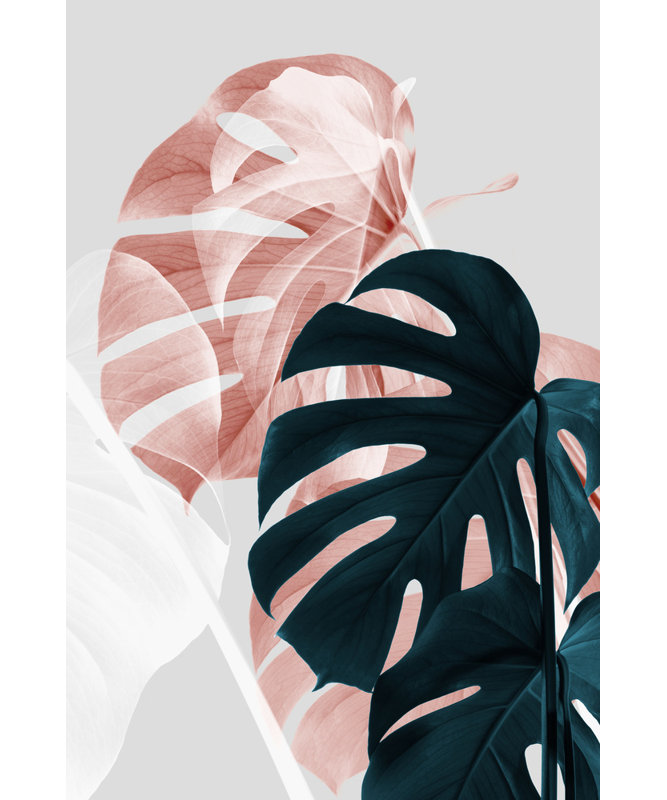 Wrapped Canvas Print, 76.2 cm H x 50.8 cm W