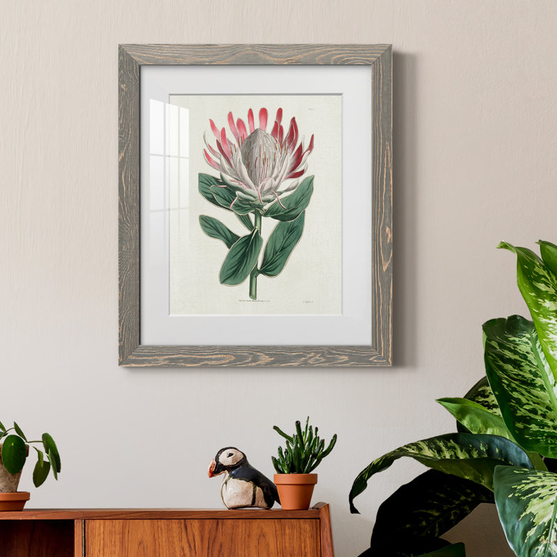 Protea N13 - Peinture encadrée, Encadré gris, H 20 po x l 17 po x P 1,5 po