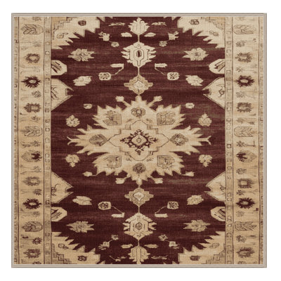 Machine Washable Overdyed Brown Area Rug