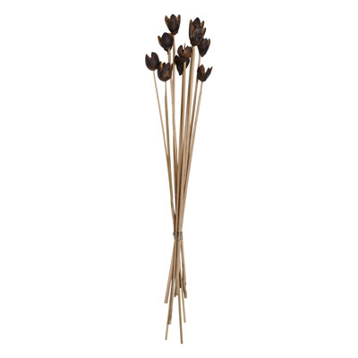 16'' Birch Branch