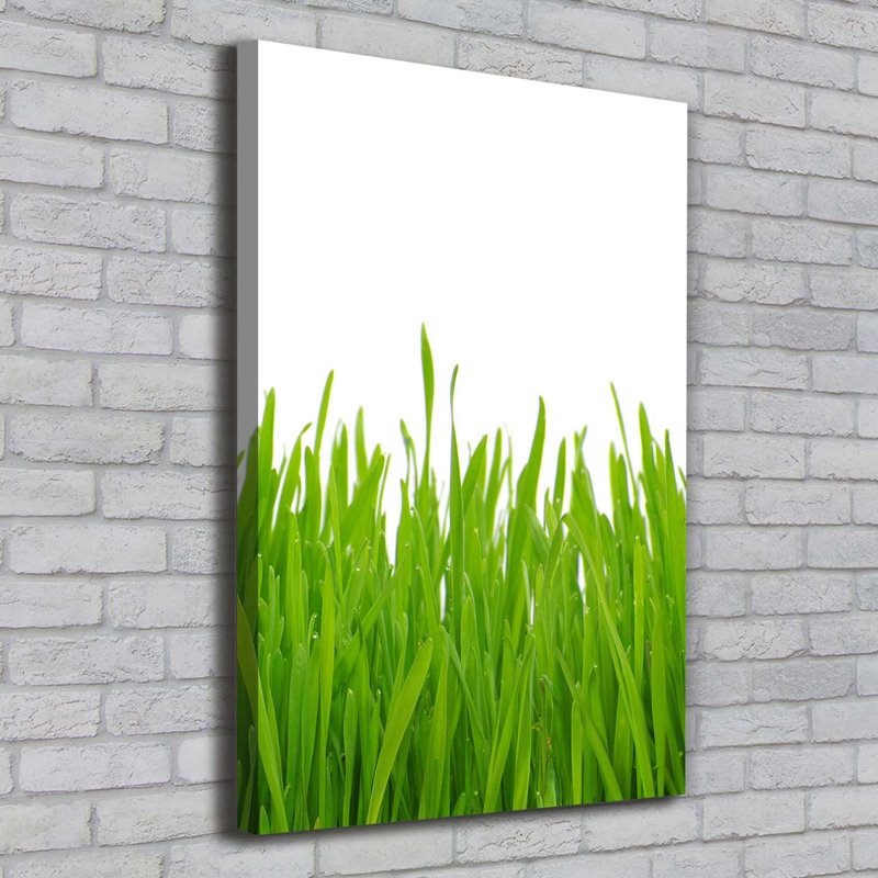Green Grass - Wrapped Canvas Print
