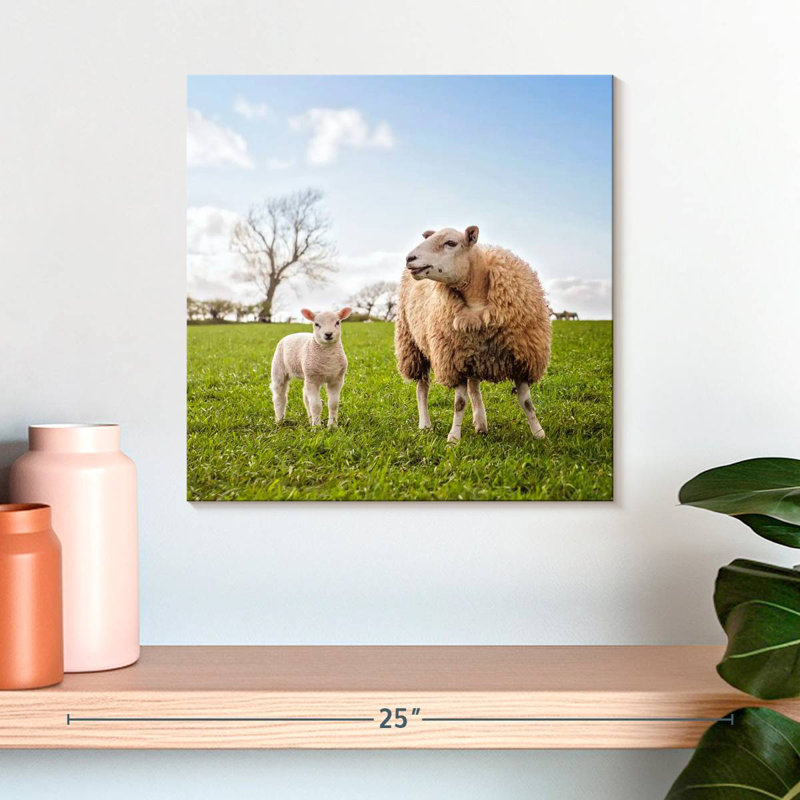 Crowle Sheep And Lamb, 16" H x 16" W
