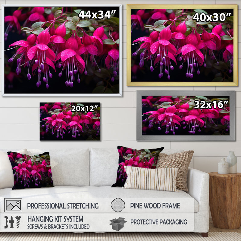 Fuchsia vivace, fleurs II, art mural floral, salon, Cadre flottant noir, H 34 po x l 44 po x P 1,5 po
