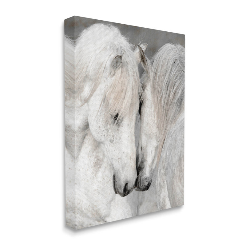 «Hugling Horse Duo Wildlife» par Danita Delimont, H 48 po x l 36 po x P 1,5 po