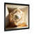 Gold Picture Framed Canvas