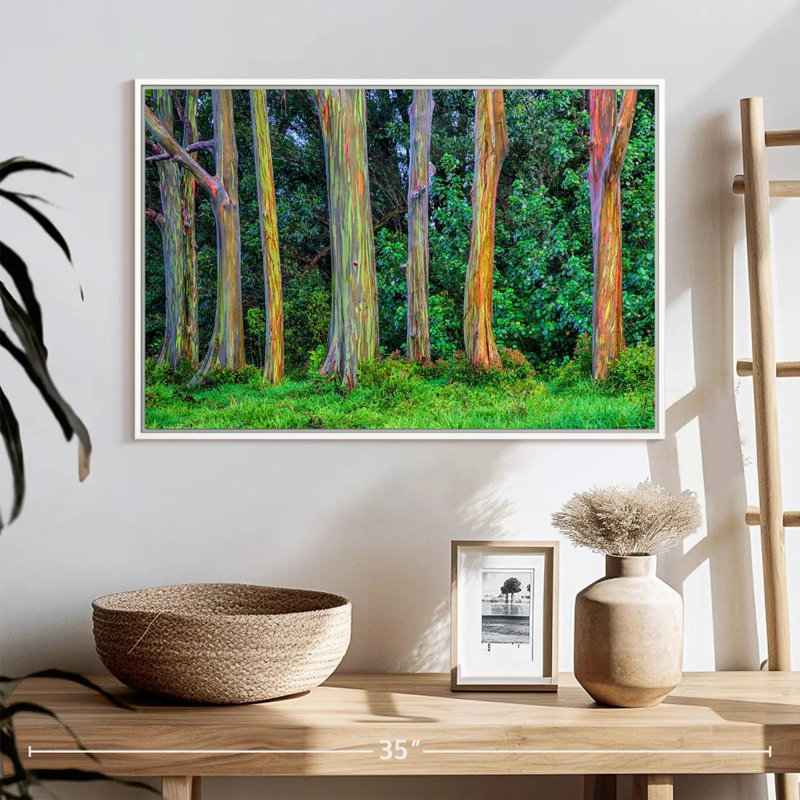 Eucalyptus arc-en-ciel, Cadre flottant blanc, 25 po x 17 po