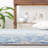 Dejanea 100 Performance Oriental Rug-1675888481