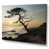 Wrapped Canvas