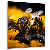 Regal Art & Gift Luster Bee Wall Decor - Honeycomb - Multi - Metal