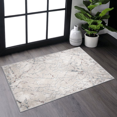 Tapis paillasson 2X3