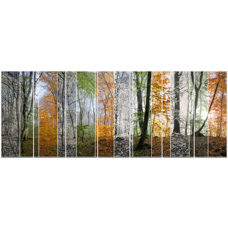 « wood panorama changing seasons », reproduction de photo à multiples images sur toile