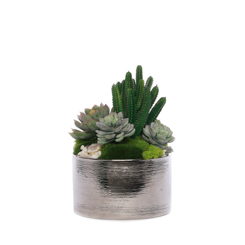 Faux Succulent in Pot