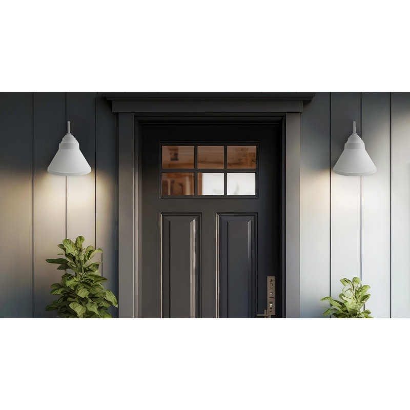 Solus Goose Outdoor Wall Mount Light Fixture, White