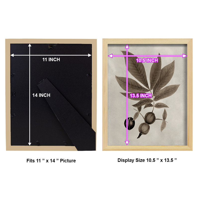 Arbor Speciment VI - Impression encadrée avec verre, H 15 po x l 12 po x P 1 po, Naturel